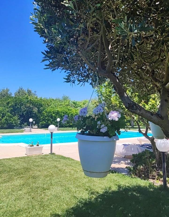B&B Villa Antonella Piazza Armerina Exterior foto